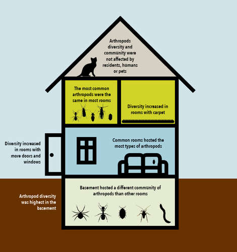 Figure: Where urban household insects prefer to live. <br>Arthropods are insects and their close relatives such as spiders and millipedes. They can have six legs (moths), eight legs (spiders), or one hundred legs (centipedes), and fly or wander from the outside environment into the indoor world.
