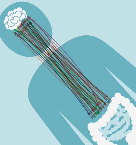 Gut microbes linked to psychosocial and neurodegenerative disorders