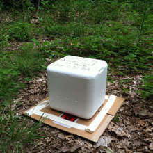 A tick trap placed next to a wooded, recreation trail.  It is made of a foam cooler containing dry ice, with three holes on each of the four sides to release carbon dioxide from the ice. The cooler sits on cardboard and is surrounded by double-sided tape.  Ticks drawn by the carbon dioxide will come to be immobilized by the sticky tape.