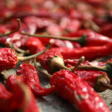 Eating foods that contain even a small amount of dietary nicotine, such as peppers, may reduce the risk of developing Parkinson's, the American Neurological Association journal reports.