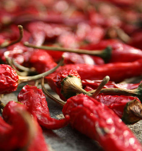 Eating foods that contain even a small amount of dietary nicotine, such as peppers, may reduce the risk of developing Parkinson's, the American Neurological Association journal reports.