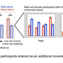 Male and female participants showed no between-group differences in either risk preference (independent sample t-test, t(60) = 0.87, P = 0.39, two-tailed), conformity (independent sample t-test, t(60) = 1.20, P = 0.24, two-tailed), or conformity bias (independent sample t-test, t(60) = –0.56, P = 0.58, two-tailed). We also included gender as a covariate in the behavioral analyses to assess potential gender differences in the preference-dependent conformity predicted by the OCU model