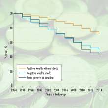 Estimated survival for all-cause mortality by wealth status, 1994-2014​